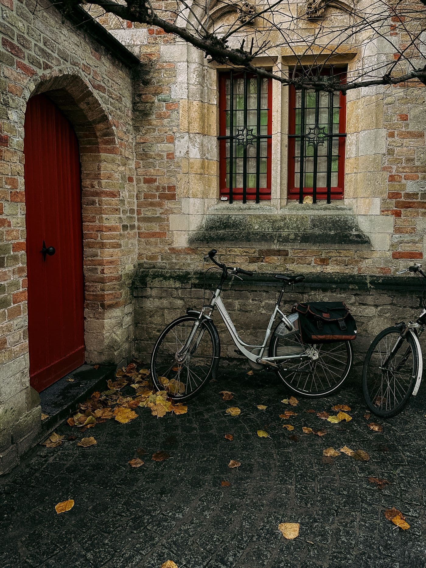 Twee fietsen tegen een bakstenen muur naast een rode deur, met herfstbladeren op de kasseien