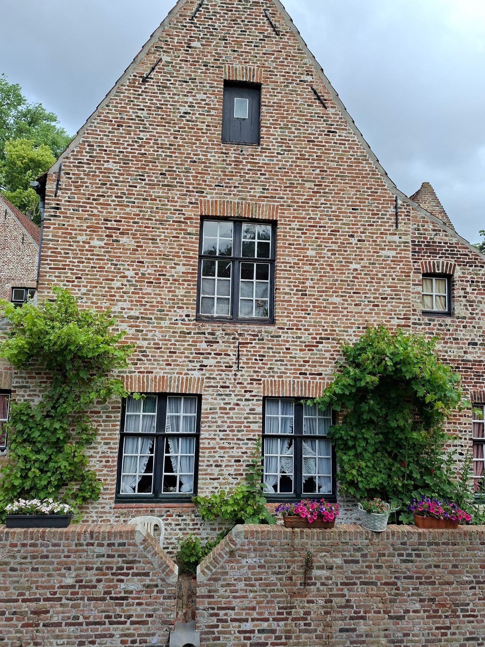 Een bakstenen trapgevelhuis met klimplanten en bloembakken onder de ramen