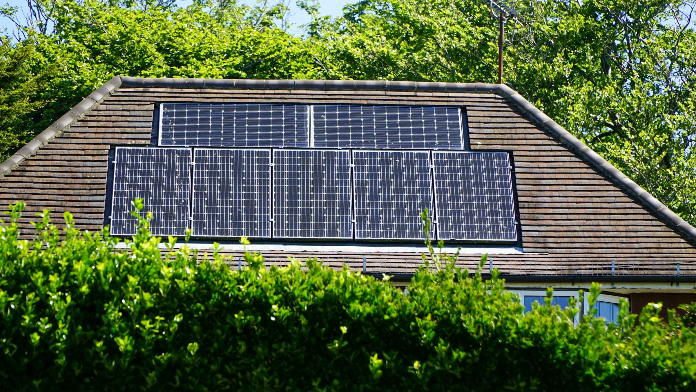 Zwarte zonnepanelen in twee rijen op een bruin pannendak, achter een hoge groene haag